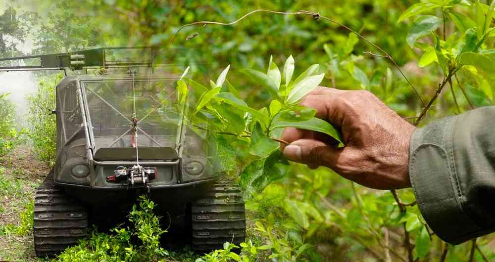 Colombia aims to eradicate 130,000 hectares of coca in 2020